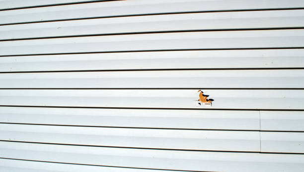 Best Siding Maintenance  in Lawton, MI