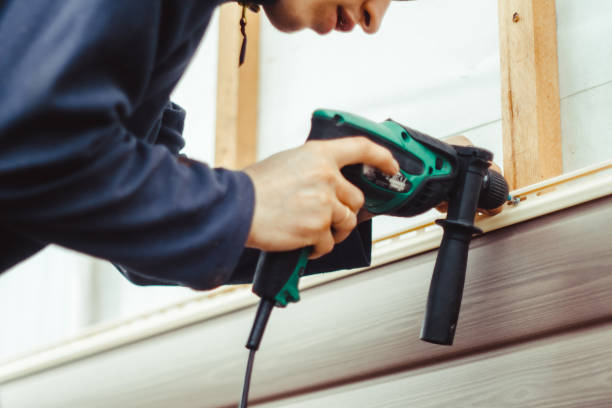 Best Fascia and Soffit Installation  in Lawton, MI